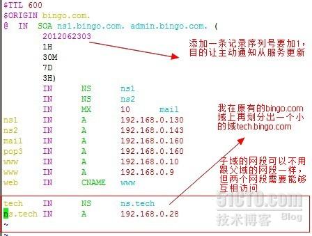 linux修改dns