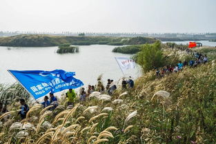 砥砺奋进的5年 转变,遇见更美的风景 陕西省探索渭河治理新征程 