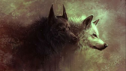 摩羯座狼插画图 摩羯座狼一般的存在