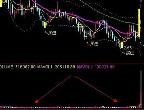 求通达信百日地量群选股公式