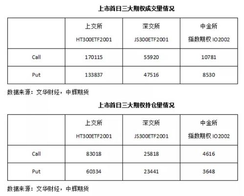 a股指数期权怎么计算？