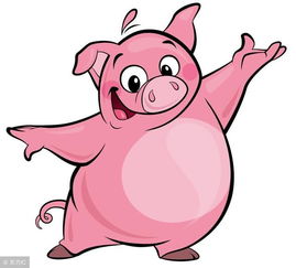 属猪的摩羯座吉祥物是什么，属猪的摩羯座幸运色(属猪 摩羯座)
