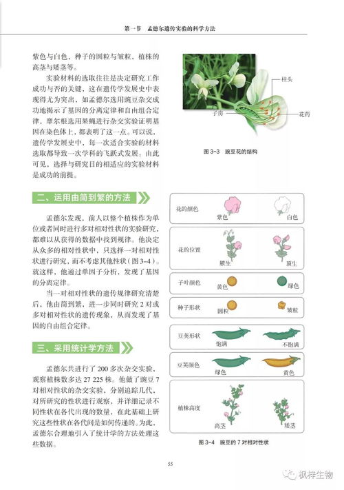 高中生物课本有几本 高中生物共有几册教材