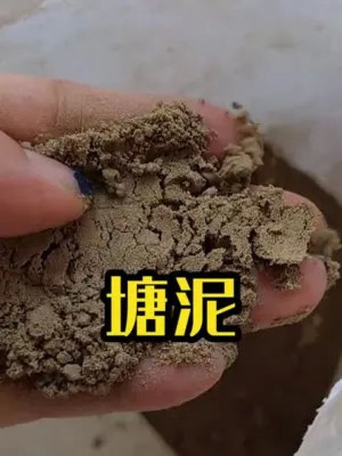 塘泥 种植好帮手 塘泥 挖塘泥 塘泥种植 种植土 天然塘泥 花卉种植土 