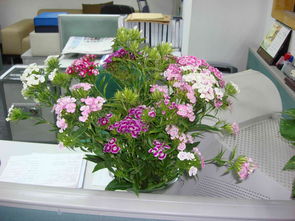 办公室摆放鲜花有什么注意事项吗
