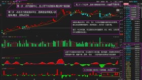 一只股票，二种操作方法，每天实盘，看一年后怎么样