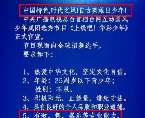 央视也搞选秀 节目正式官宣,看到文案网友不淡定了 出道即巅峰