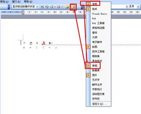 在2003word里怎么添加下面这种修改了之后的状态,图片如下 