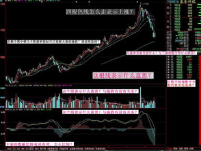 你好，请问股票怎么玩的？请懂行的回答，