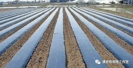 什么是农业地膜 塑料地膜的积极和消极作用有哪些 地膜不同颜色的作用有何区别 看高考地理如何考查农业覆盖技术