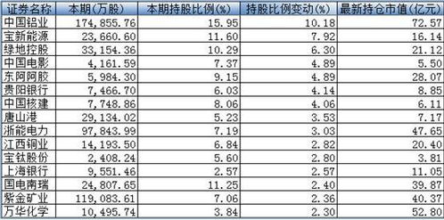 国家队二季度逆市增仓,证金汇金集中加仓一类股