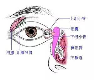 新生儿总流泪 眼分泌物多怎么办 超实用新生儿泪囊炎的泪囊按摩方法来喽 果断收藏