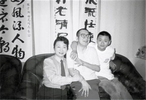 陈景润62岁病逝,留下老来子陈由伟,他的成就比父亲如何