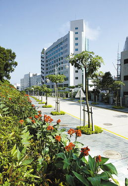 深圳一年建成330多公里美丽绿道