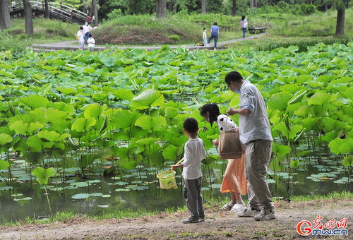 22年端午节高速公路免费吗