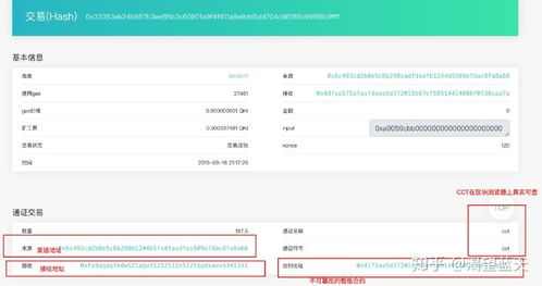 常用多链钱包有哪些-链信钱包重新下载后怎么登录