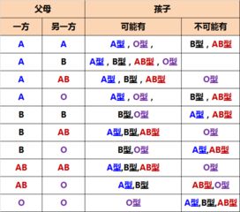 父母都是A型血生O型血的概率是多少 