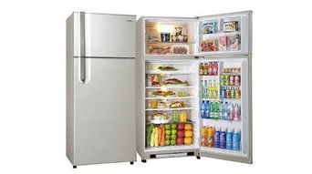 专门制造冰箱的公司有几家?