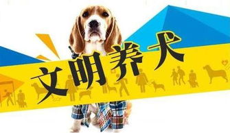 新修订的银川市物业管理条例 养犬管理条例公布,11月1日起施行