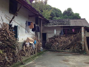 生活常识农村建房(农村建房经验杂谈)