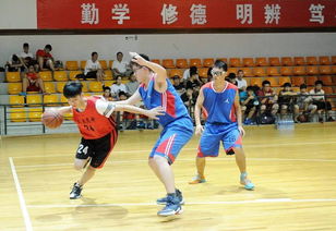 2016 新闻晨报杯 中学生暑期篮球联赛圆满落幕 