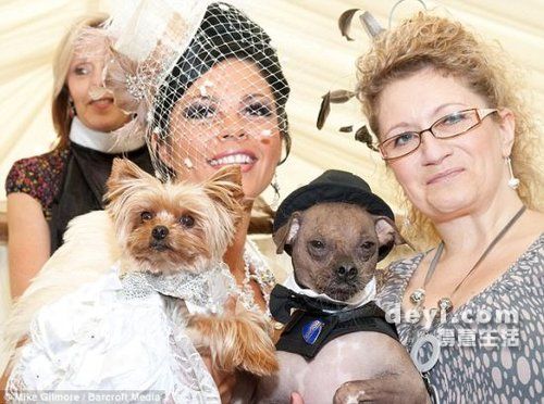 英国单身女子花2万英镑为爱犬举办婚礼 
