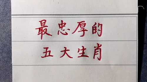 最忠厚老实的五大生肖,看看有你吗 