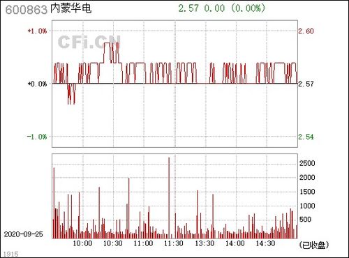 内蒙华电的公司背景