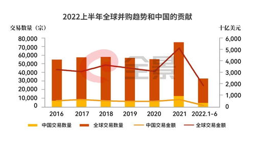 国际陶瓷查重率背后的优化策略