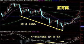 怎么样知道股票的执掌位