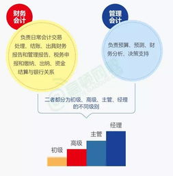 职场丨图解 外企财务岗位详细解读,哪个属于你