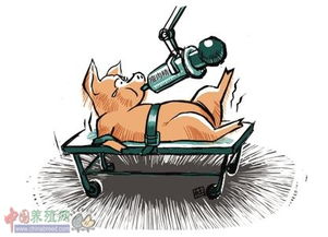 瘦肉精检测方法，瘦肉精检测方法有哪几种