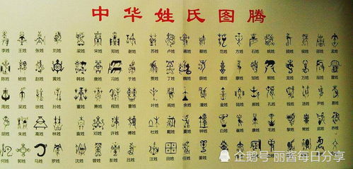 中国的姓氏起源和发展变化 你知道自己的姓是怎么来的吗