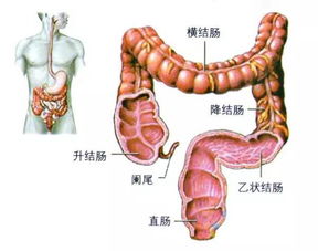 我是一名大肠癌患者，想请教些关于爱必妥的问题