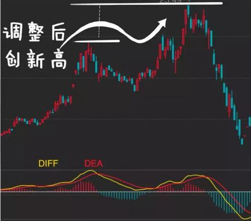 中国石化股票怎么样?有没有高手指点一下.我明年想买进.