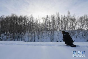 林海雪原中一个人的除夕 