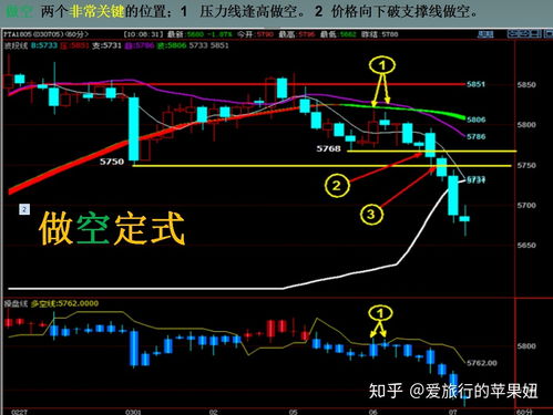 请问新手跟老手炒股票会赚钱吗？