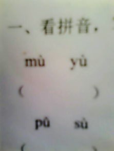 怎么写字 