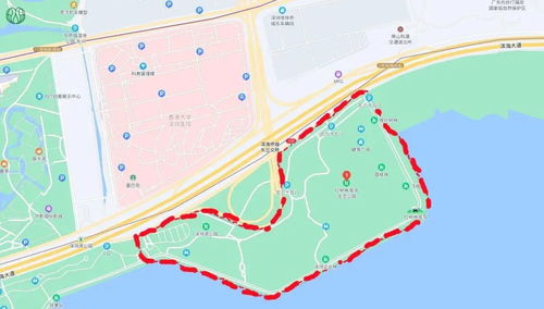 深圳海滨免费停车场在哪里,深圳哪些公园停车场是免费的