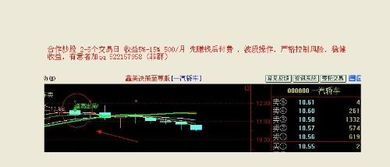 请高手帮忙分析一汽轿车（000800）这只股票