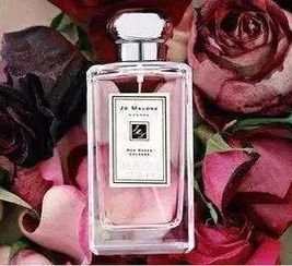 玫瑰香水哪个品牌好,车载香水哪个牌子好？