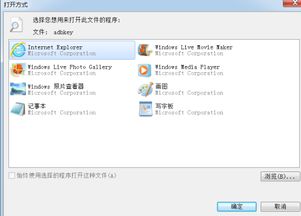 w7电脑为什么下载东西打不开要选择打开此文件的程序什么意思啊 