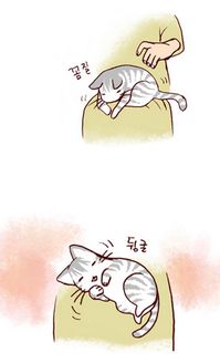 看漫画学韩语 我的小猫和老狗 之 机会