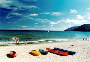 海南成立国际旅游岛(海南三亚什么时候评为的国际旅游岛)