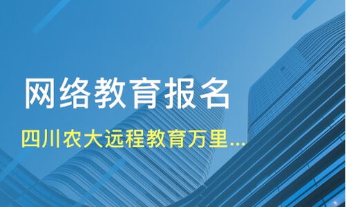 川农业大学18毕业论文答辩