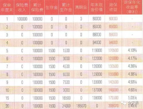 国华泰山5号年金保险,收益稳如泰山 