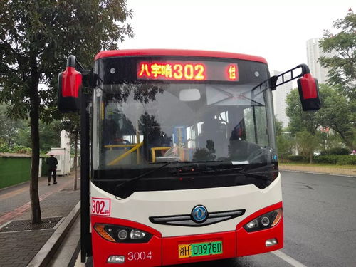 去兰溪 八字哨可坐302 303路公交车,10分钟一趟,票价只要...