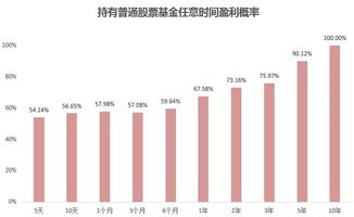 股票型基金算不算资产?