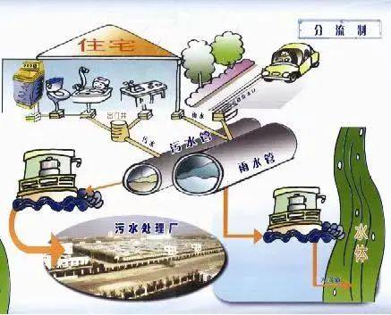 关于雨污分流的建议(关于雨污分流的建议怎么写)