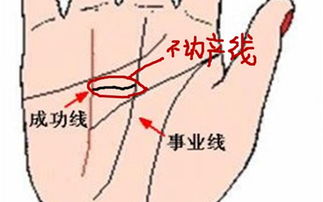 解析事业线和成功线的具体含义 